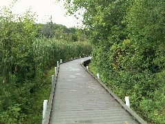 board walk; IAT; Bark River, WI